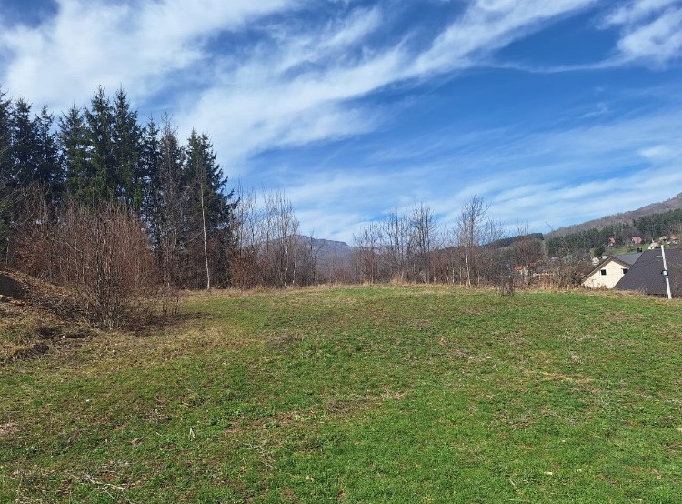 Urbanized Plot for sale Gornji Pazalj 610m2 - 6