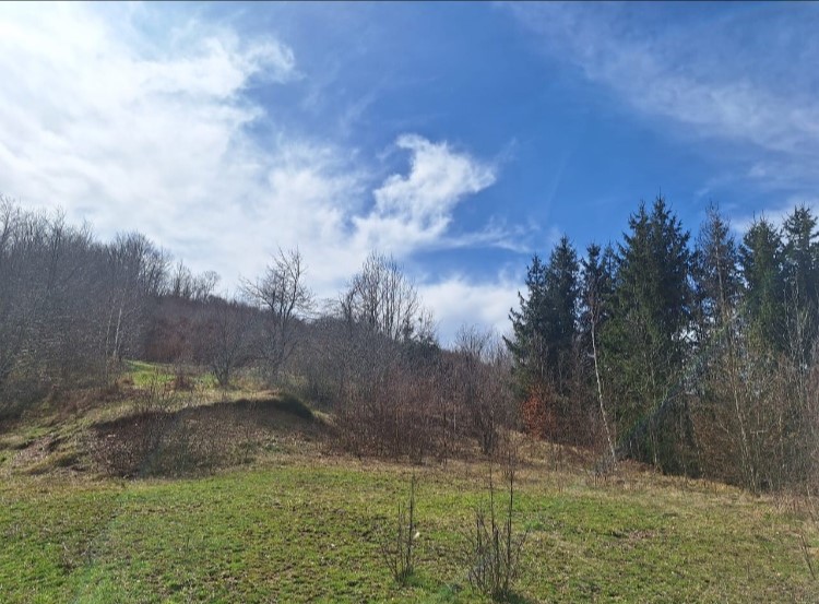 Urbanized Plot for sale Gornji Pazalj 610m2 - 5