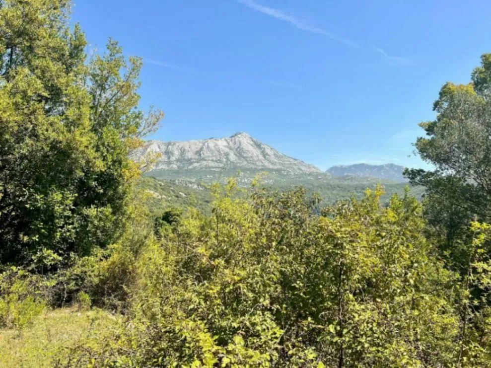 İmarlı Arsa Satılık Gornji Mojdež 9800m2 - 5