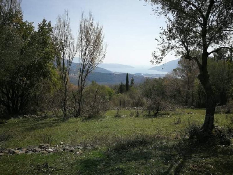 İmarlı Arsa Satılık Gornji Mojdež 9800m2 - 11