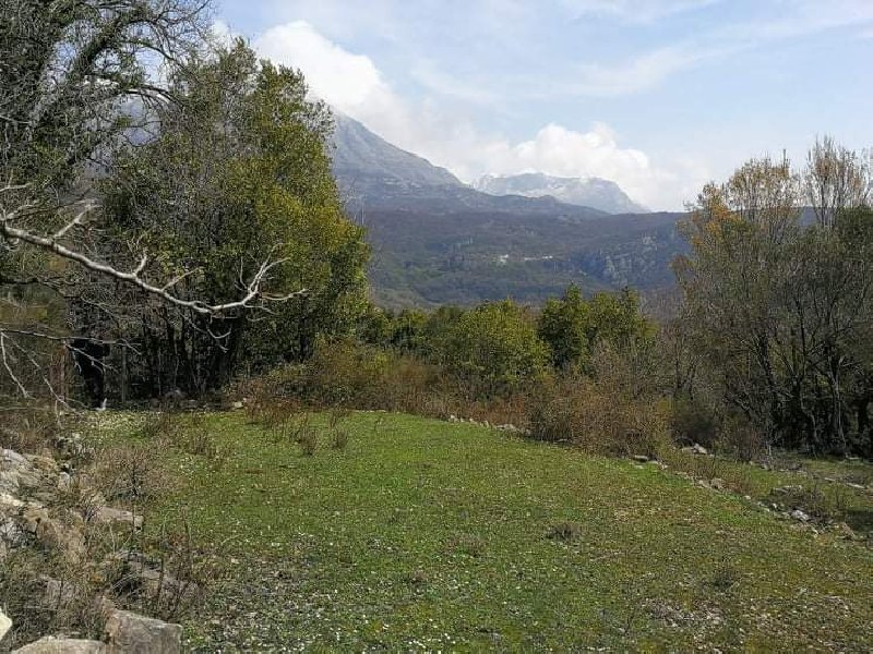 İmarlı Arsa Satılık Gornji Mojdež 9800m2 - 13