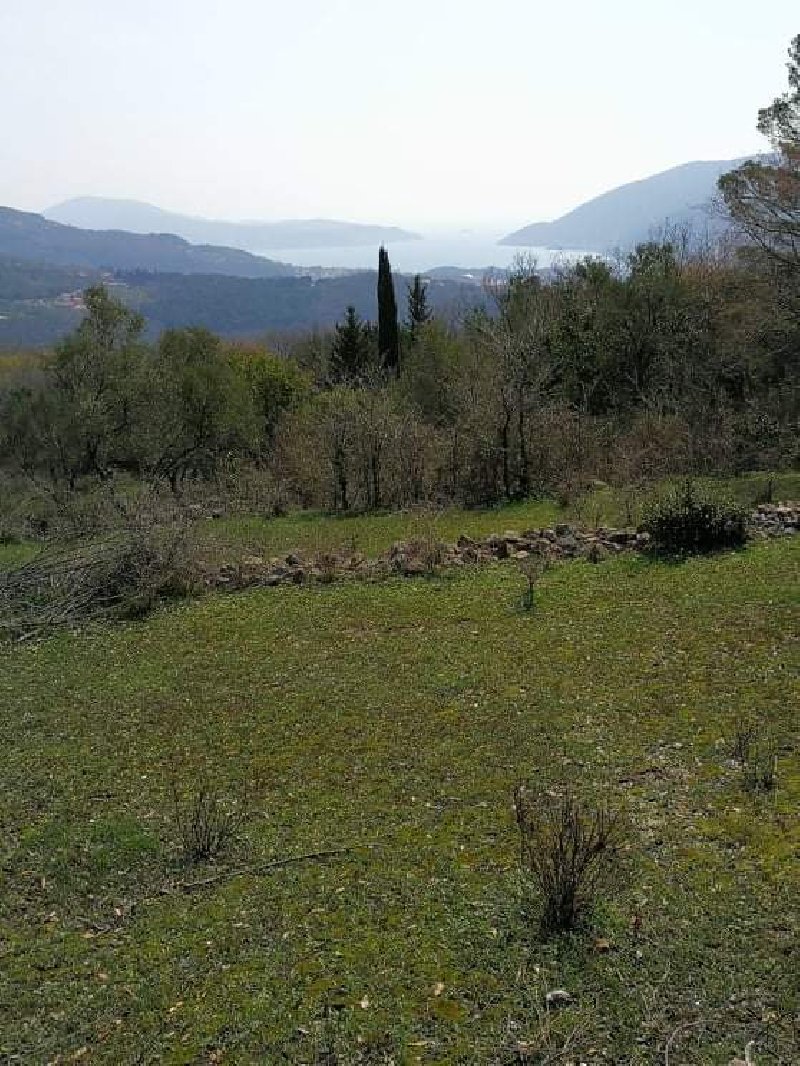 İmarlı Arsa Satılık Gornji Mojdež 9800m2 - 12