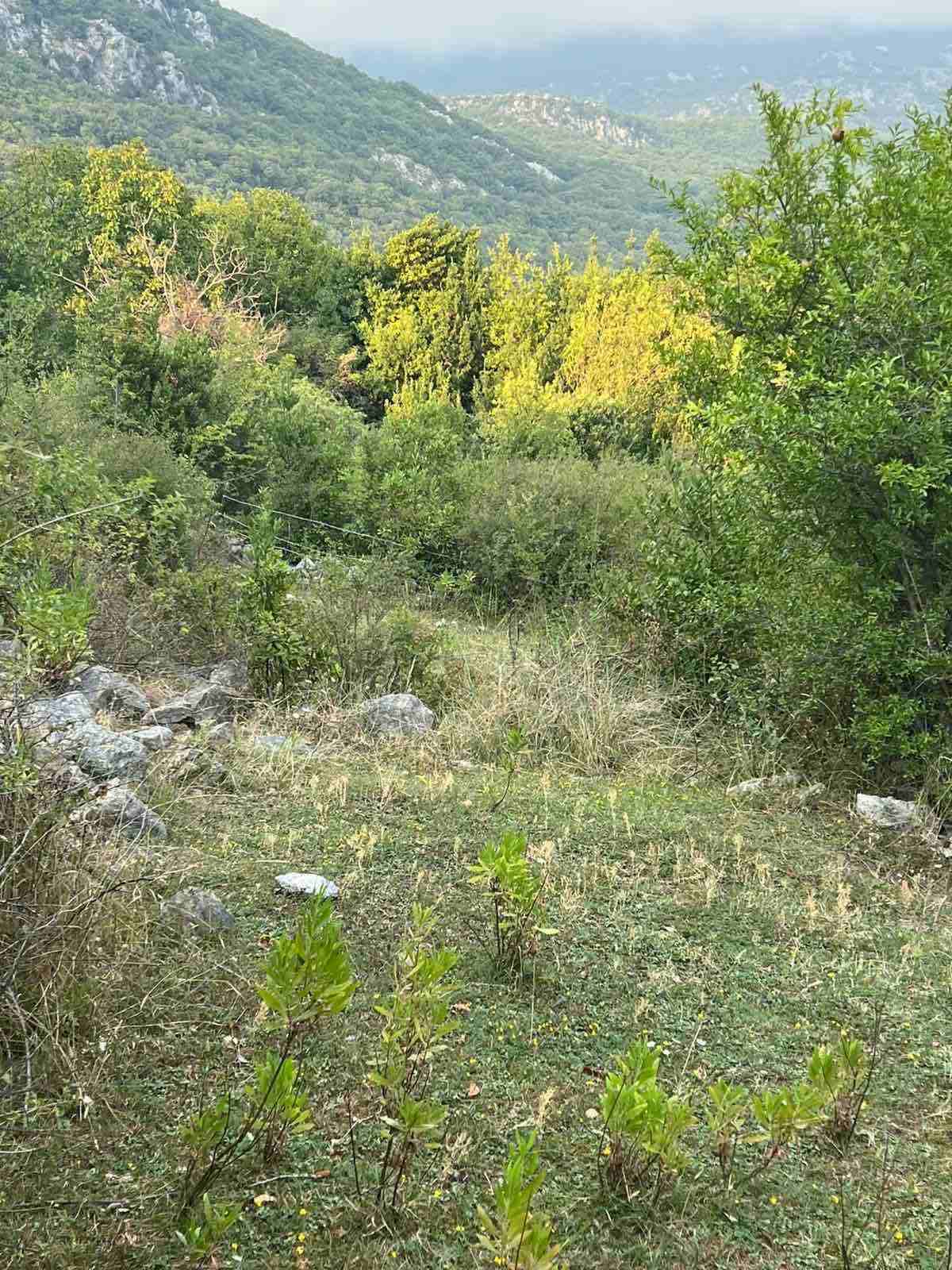 İmarlı Arsa Satılık Gornji Mojdež 9800m2 - 9