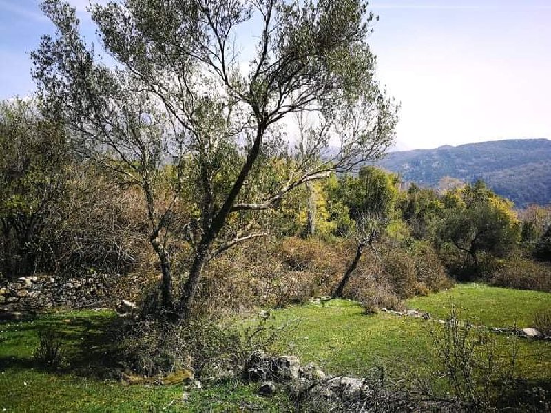 İmarlı Arsa Satılık Gornji Mojdež 9800m2 - 7
