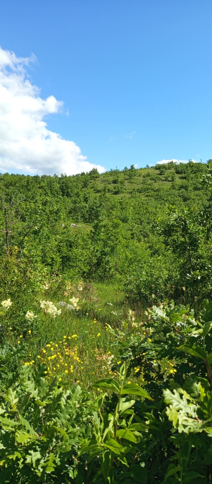 Land for sale Niksic 13400m2 - 2