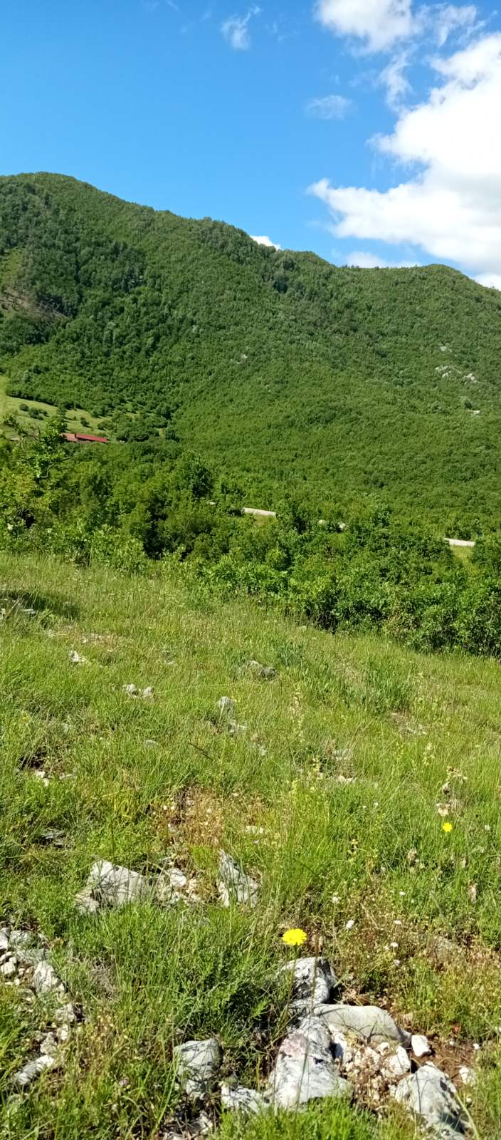 Land for sale Niksic 13400m2 - 3
