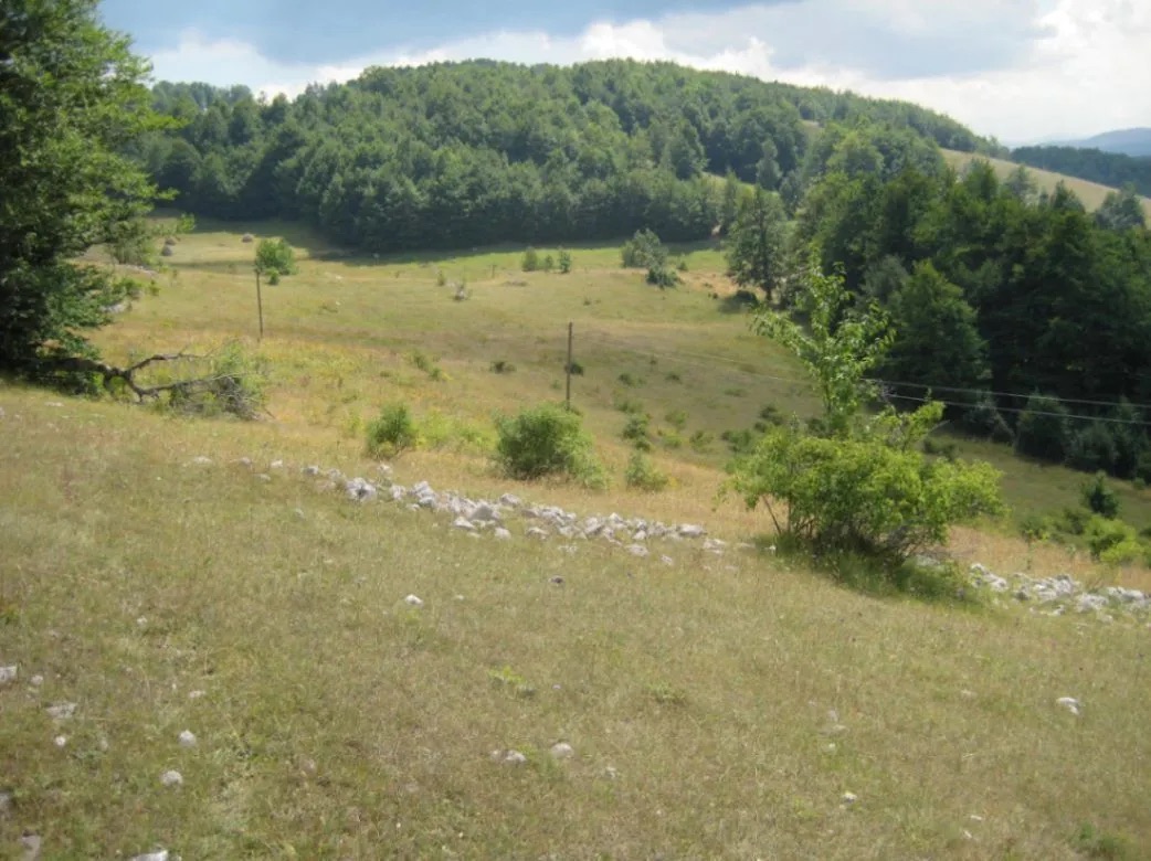 Zemljište na prodaju Šavnik 199938m2 - 4