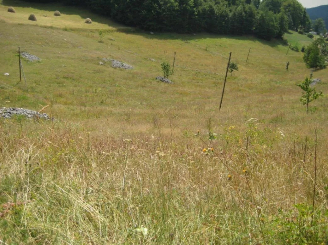 Zemljište na prodaju Šavnik 199938m2 - 3