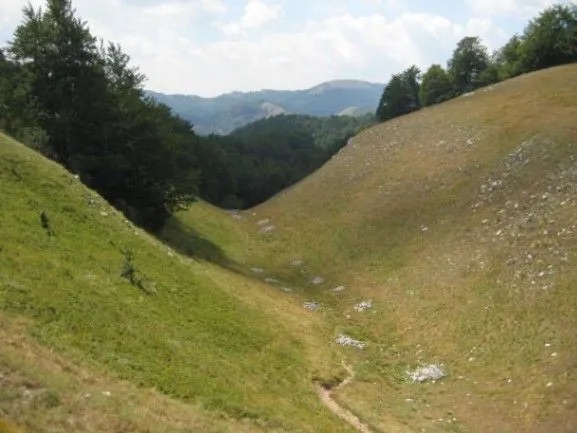 Zemljište na prodaju Šavnik 199938m2 - 2