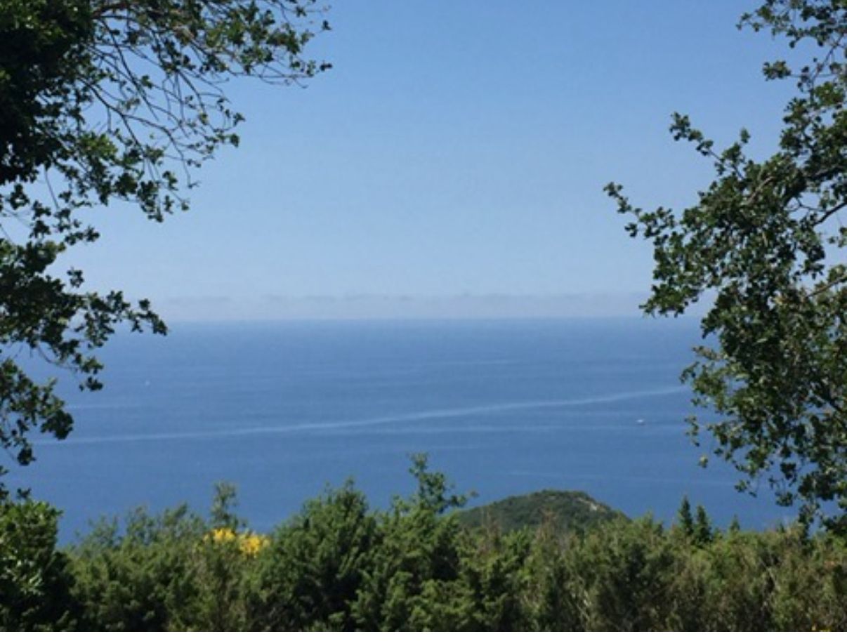 Урбанизированный участок на продажу Близикуче 304м2 - 2