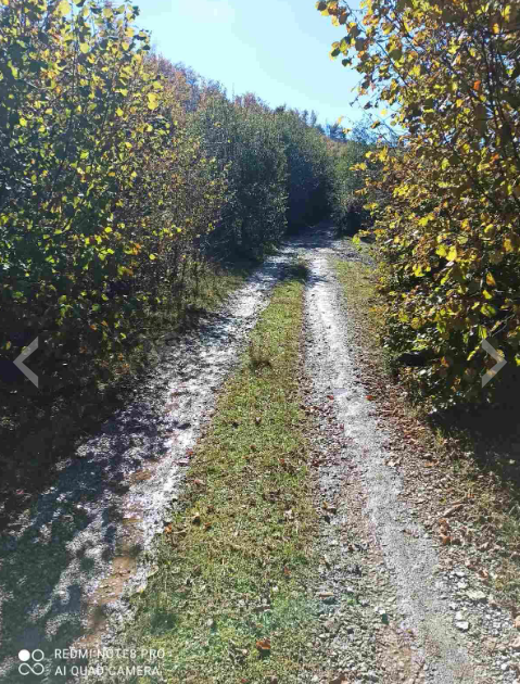 İmarlı arsa satılık Vladoš 7400m2 - 2