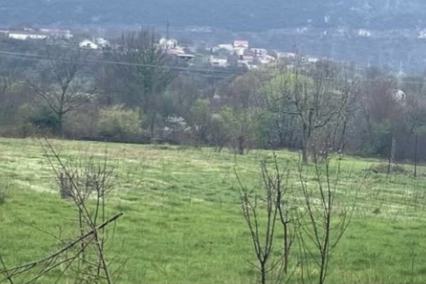 Land for sale Zeta 5205m2 - 2
