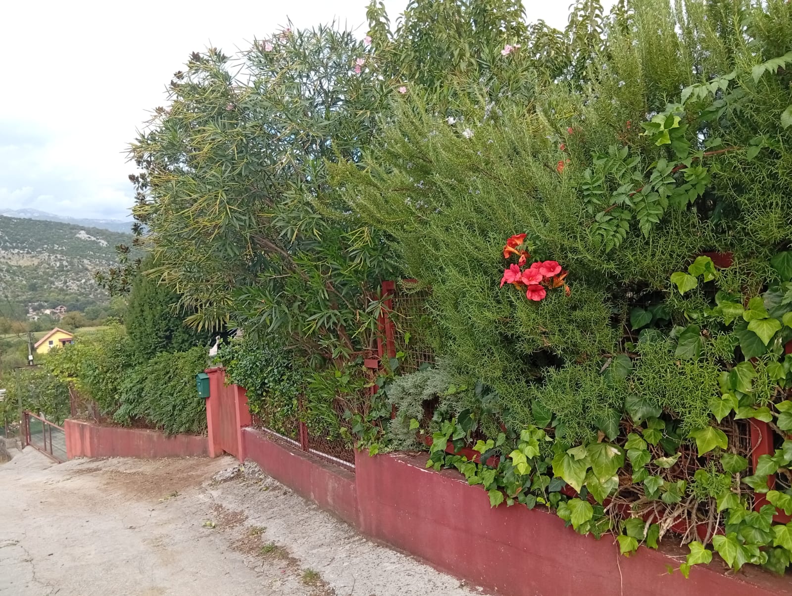 House for sale Danilovgrad 132m2 - 11