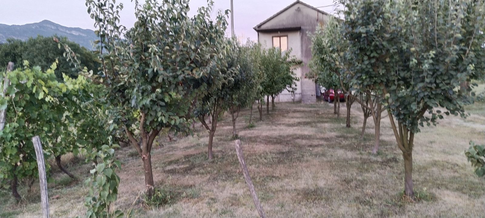 House for sale Danilovgrad 117m2 - 6