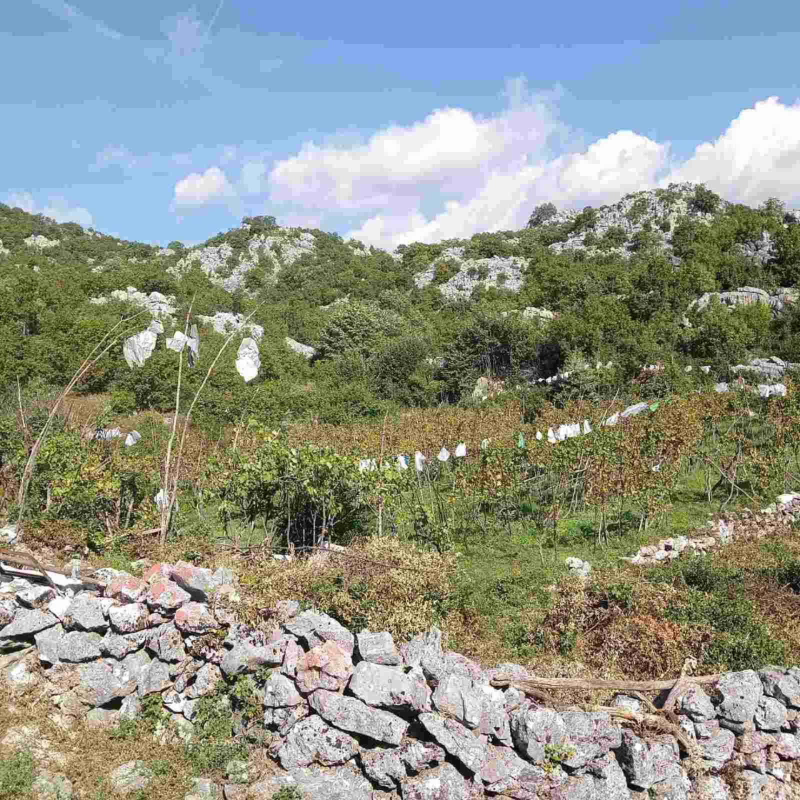 House for sale Cetinje 113m2 - 11