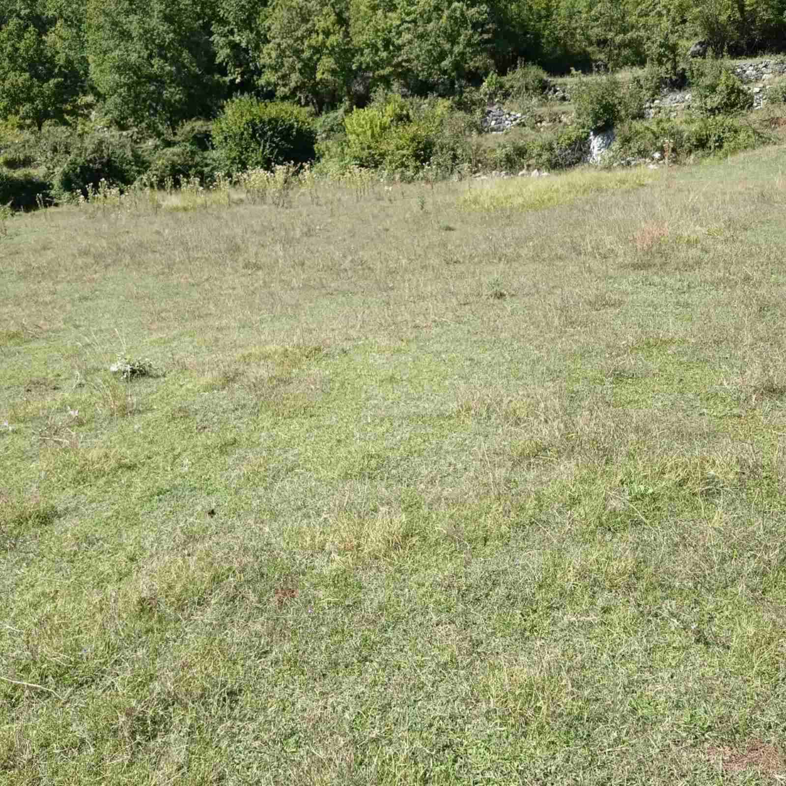 House for sale Cetinje 113m2 - 9