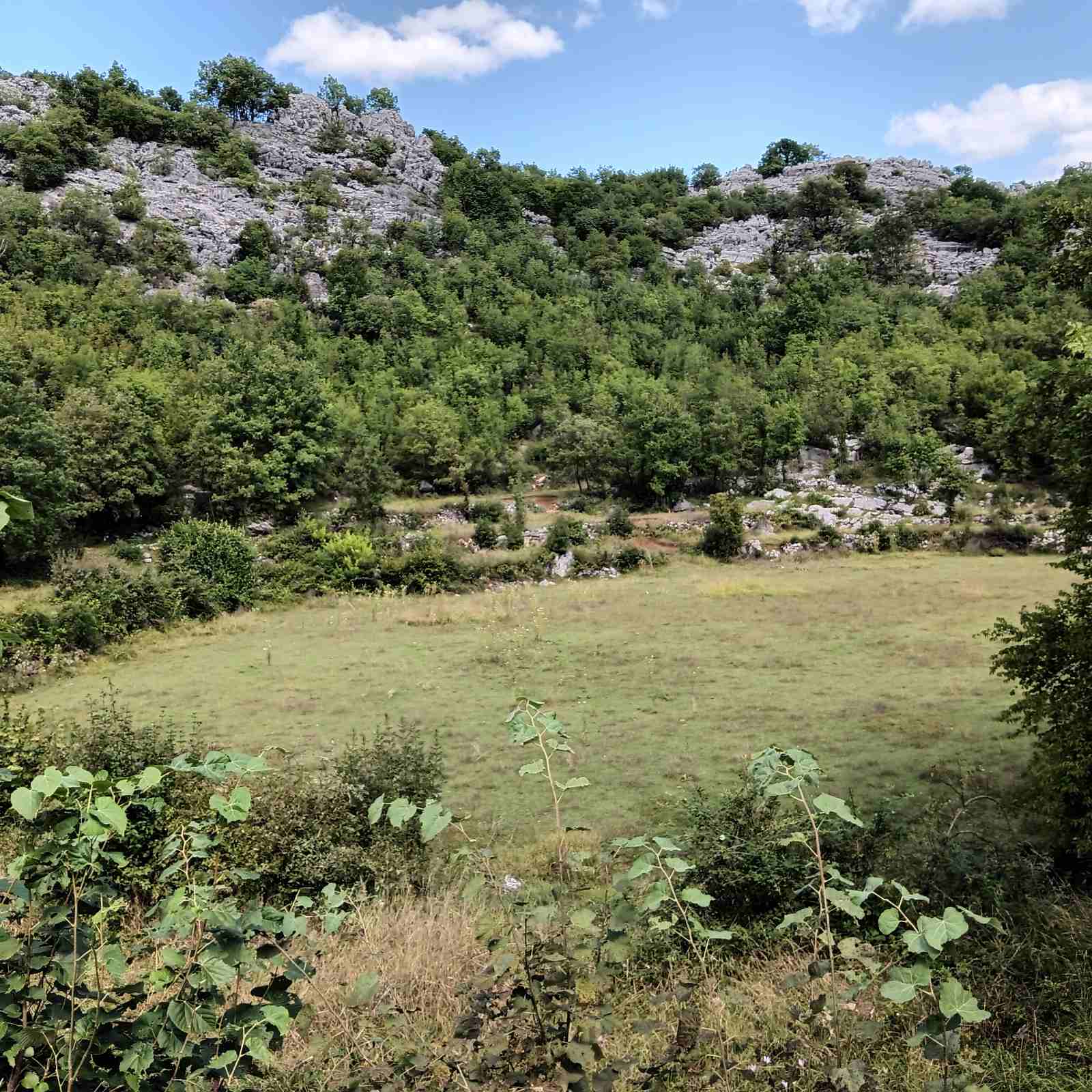 House for sale Cetinje 113m2 - 4