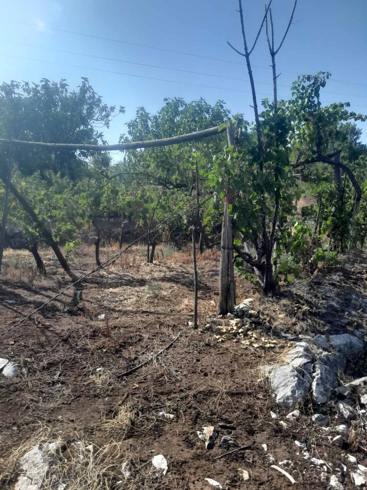Podgorica’da satılık iki ev 40m2 - 9