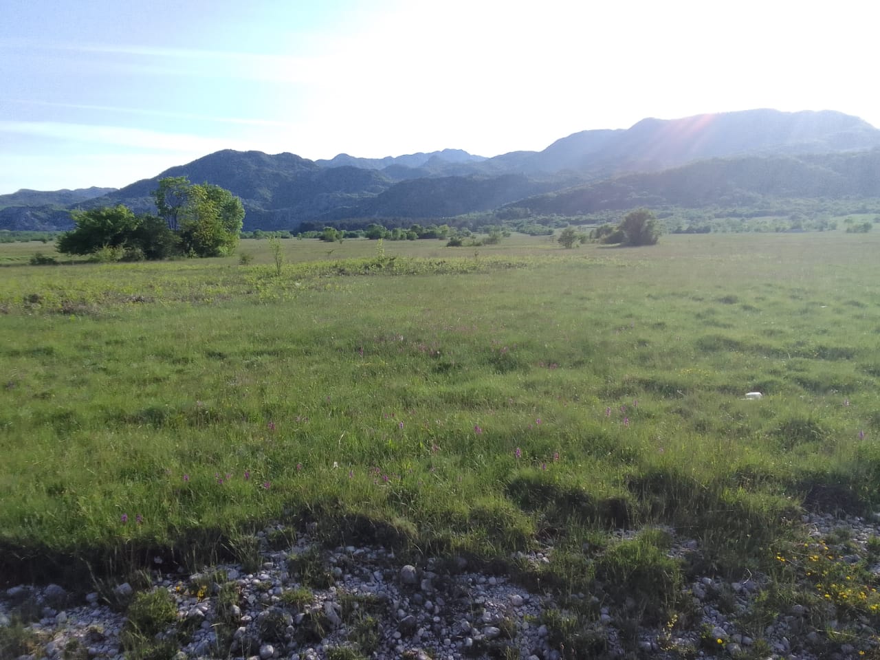 Land for sale Gornje Krivosije 100000m2 - 3