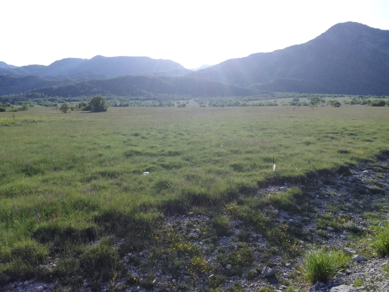 Land for sale Gornje Krivosije 100000m2 - 2
