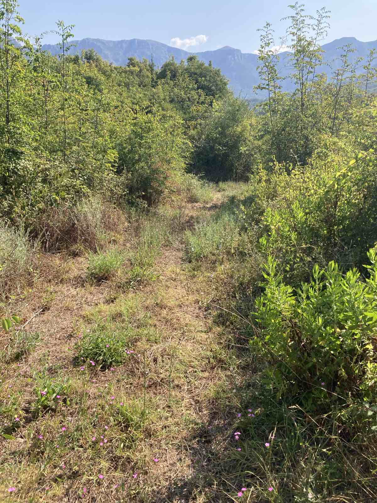 Land for sale Susanj 2400m2 - 2