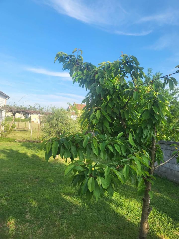 Дом на продажу Донья Горица 230м2 - 8