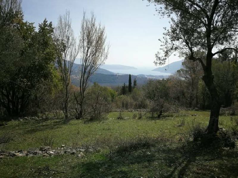Land for sale Mojdez 7320m2 - 2