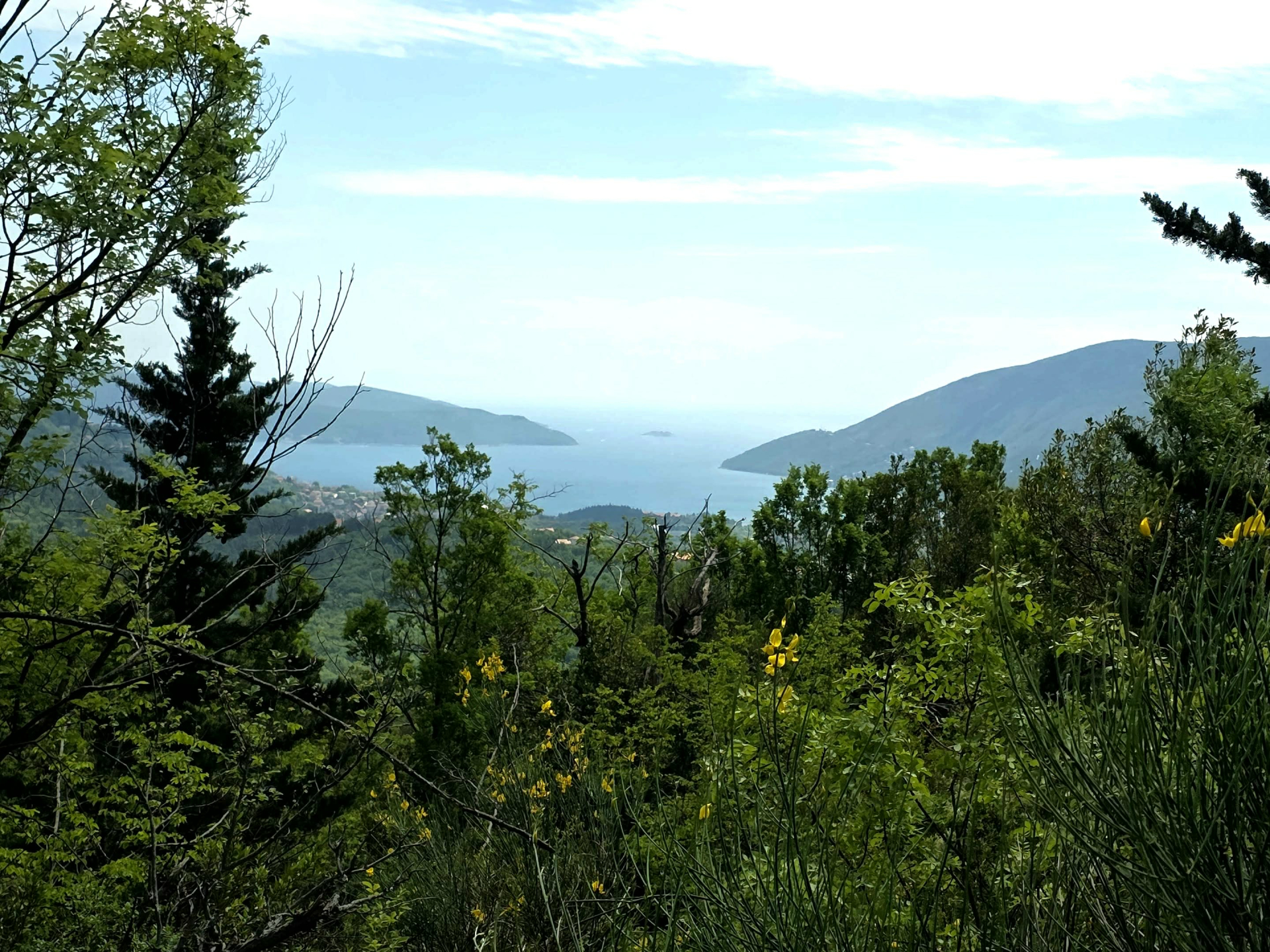 Land for sale Mojdez 7320m2 - 3