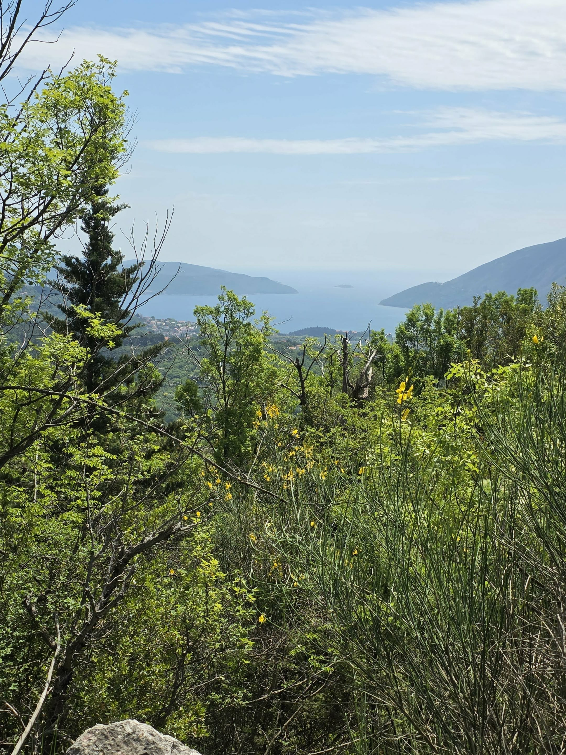 Land for sale Mojdez 7320m2 - 6