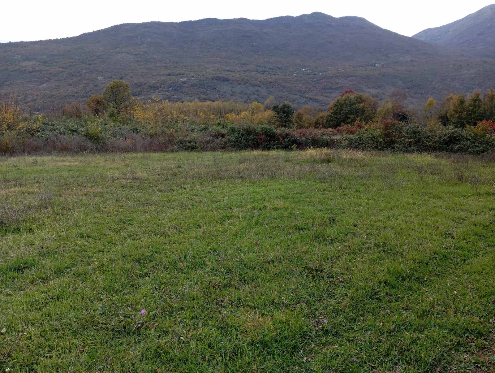 Satılık arsa Danilovgrad 8700m2 - 2