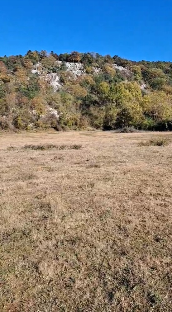Land for sale Danilovgrad 24000m2 - 2