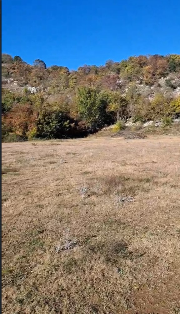 Land for sale Danilovgrad 24000m2 - 4