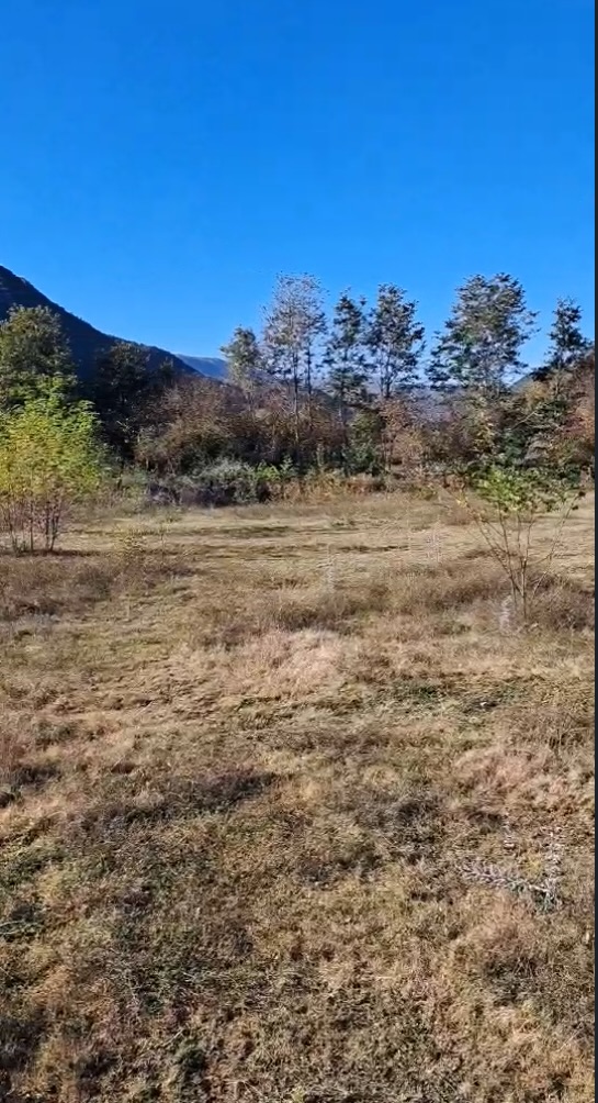 Land for sale Danilovgrad 24000m2 - 3