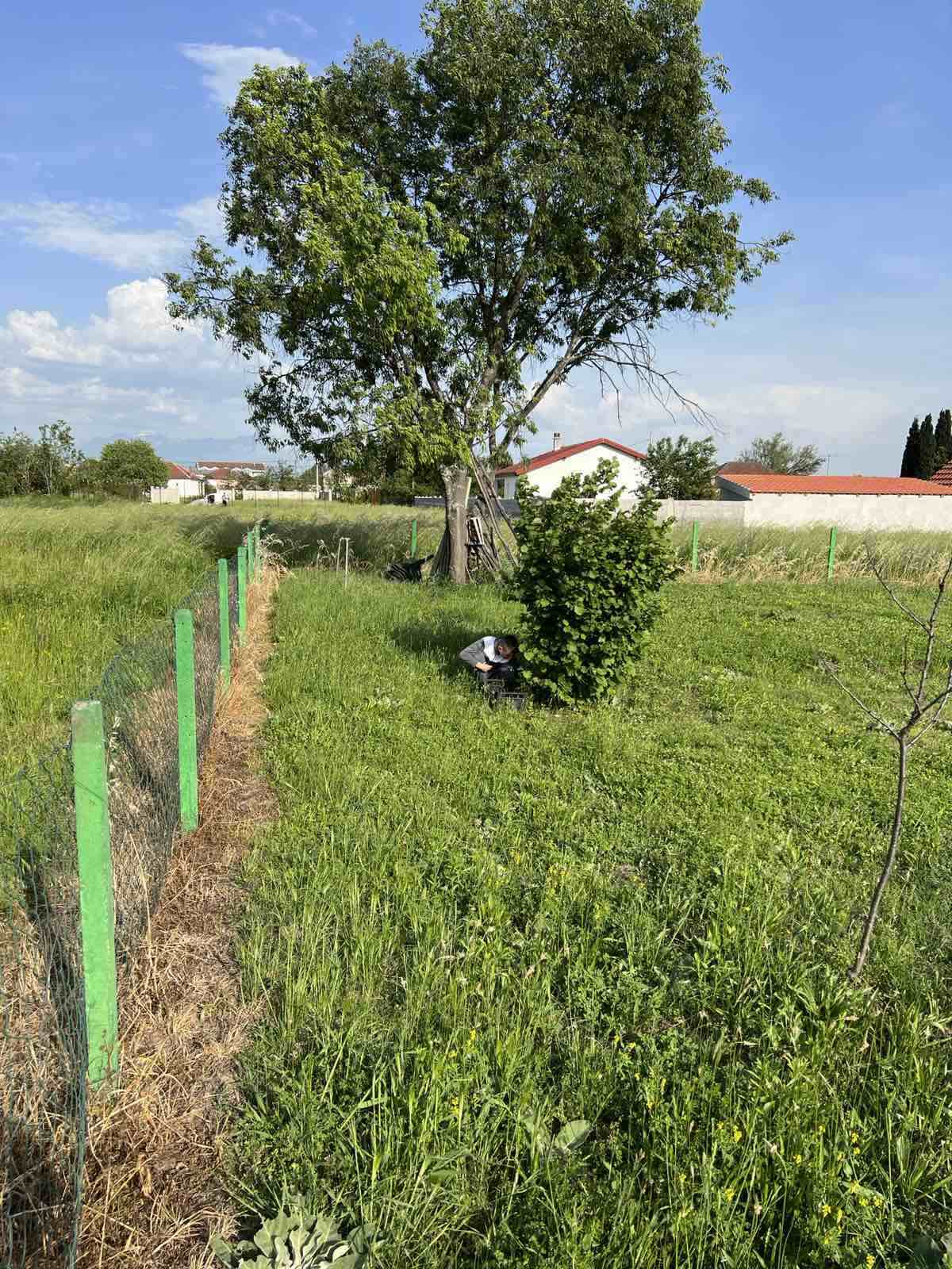 Zeta’da satılık imarlı arsa 1600m2 - 4
