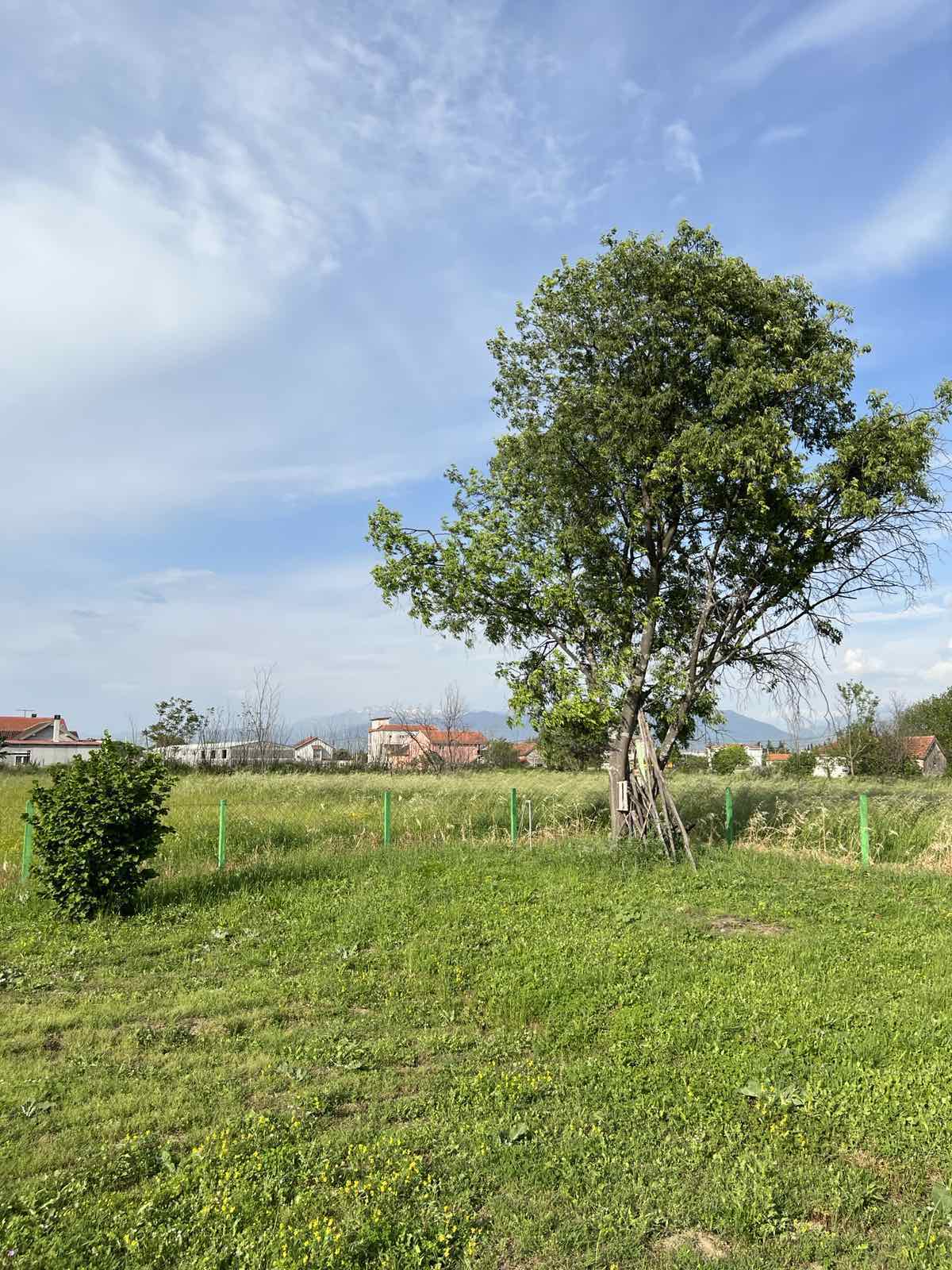 Zeta’da satılık imarlı arsa 1600m2 - 2