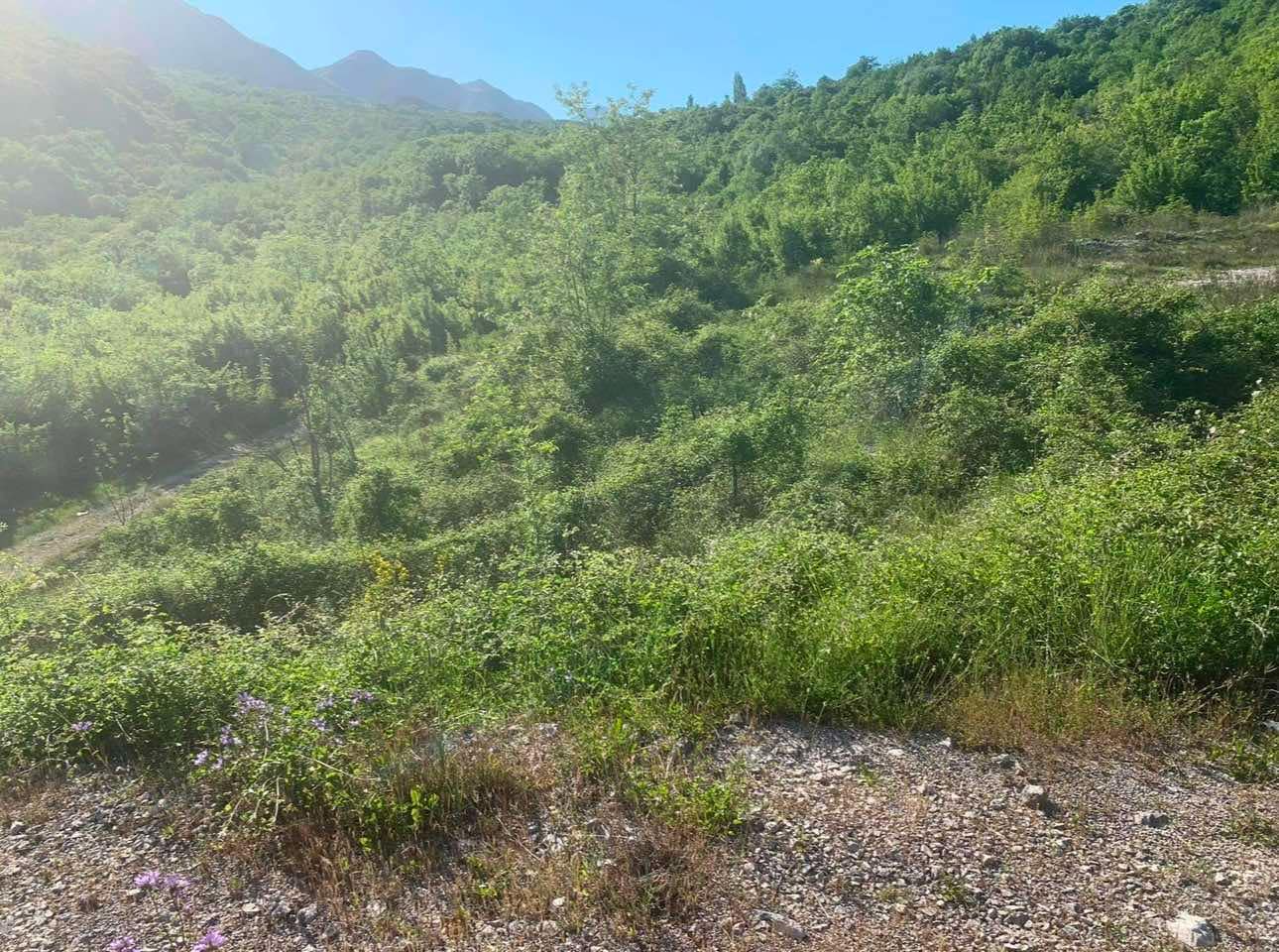 Sozina’da satılık arsa 1984m2 - 2