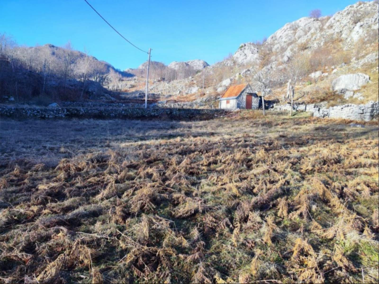 Land for sale Cetinje 100000m2 - 5