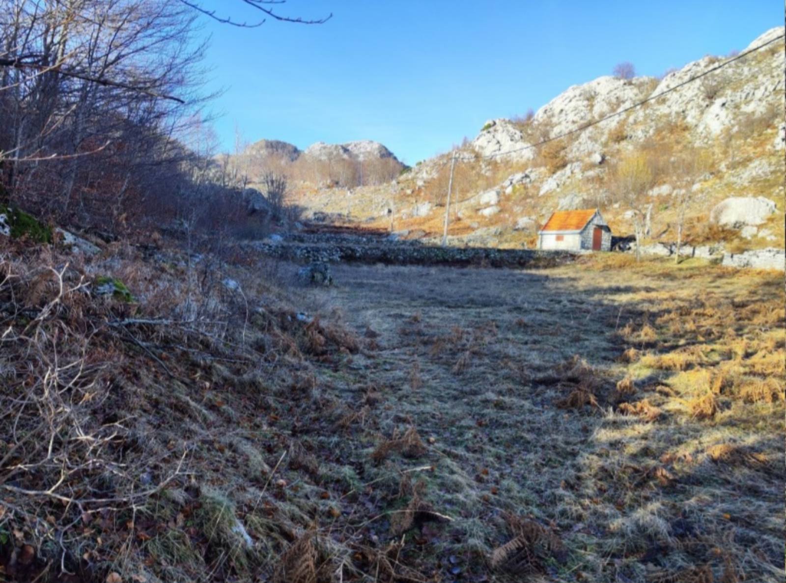 Land for sale Cetinje 100000m2 - 4
