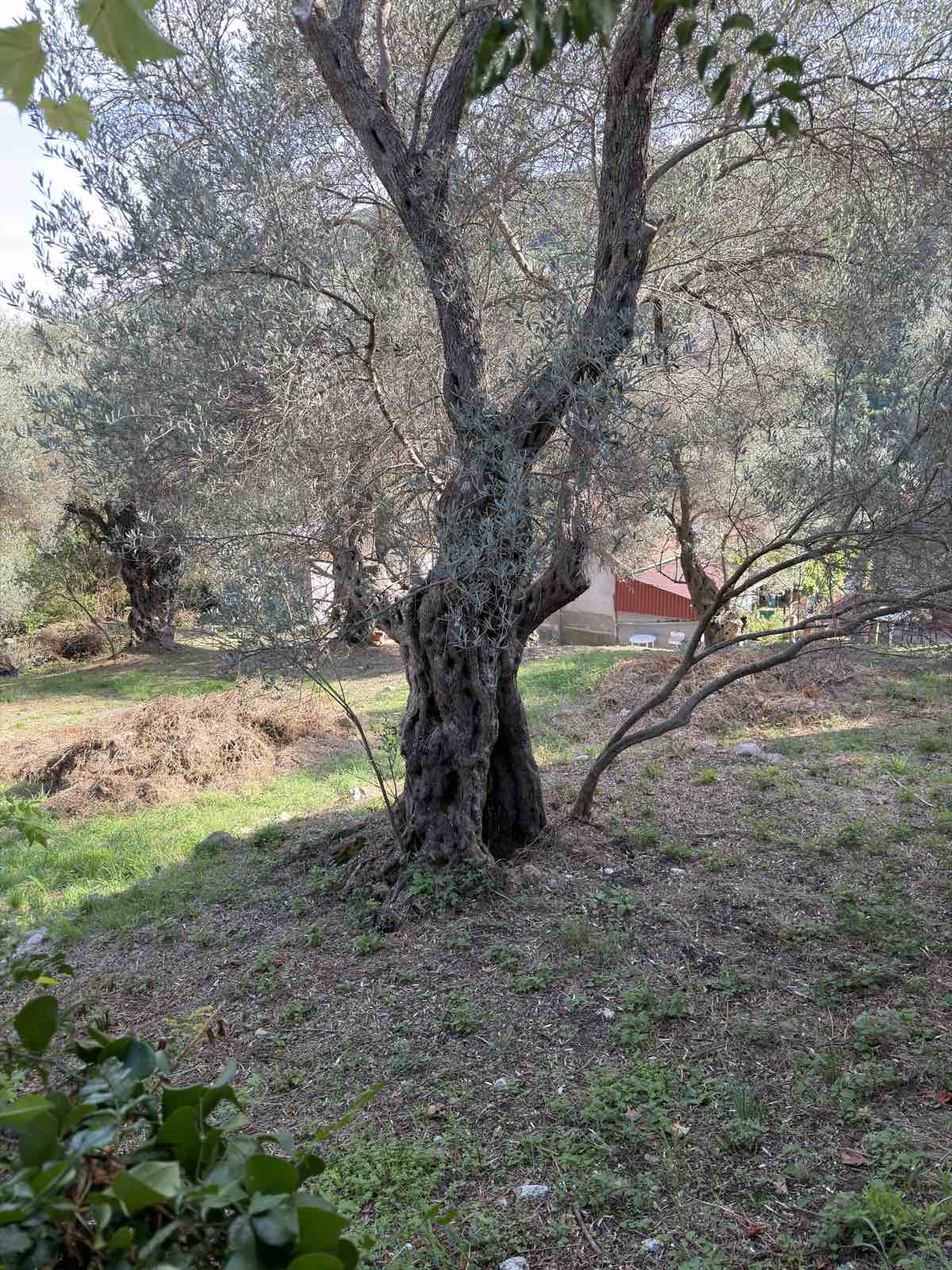 Land for sale Kruce 500m2 - 4