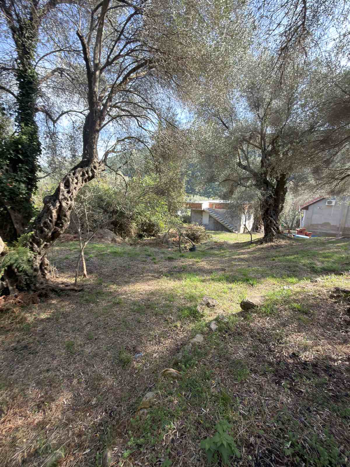 Land for sale Kruce 500m2 - 5