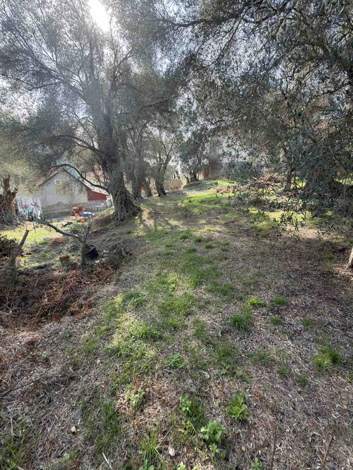 Land for sale Kruce 500m2 - 3