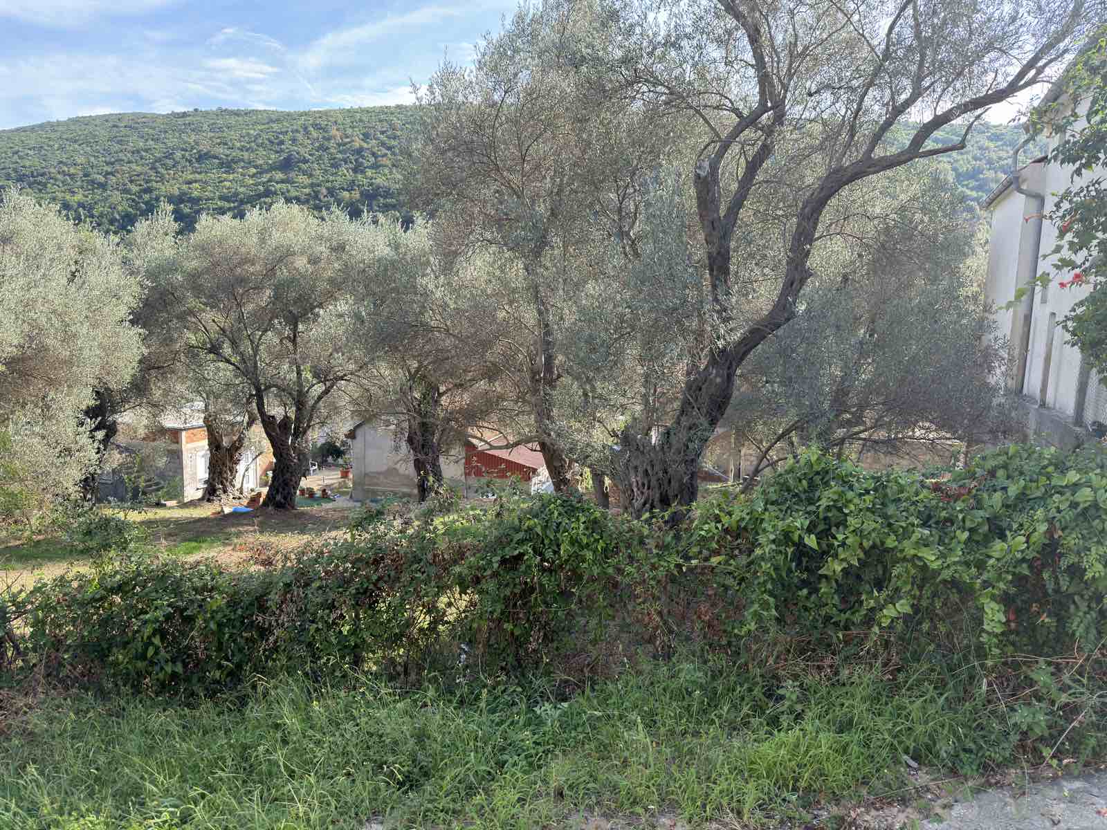 Land for sale Kruce 500m2 - 6