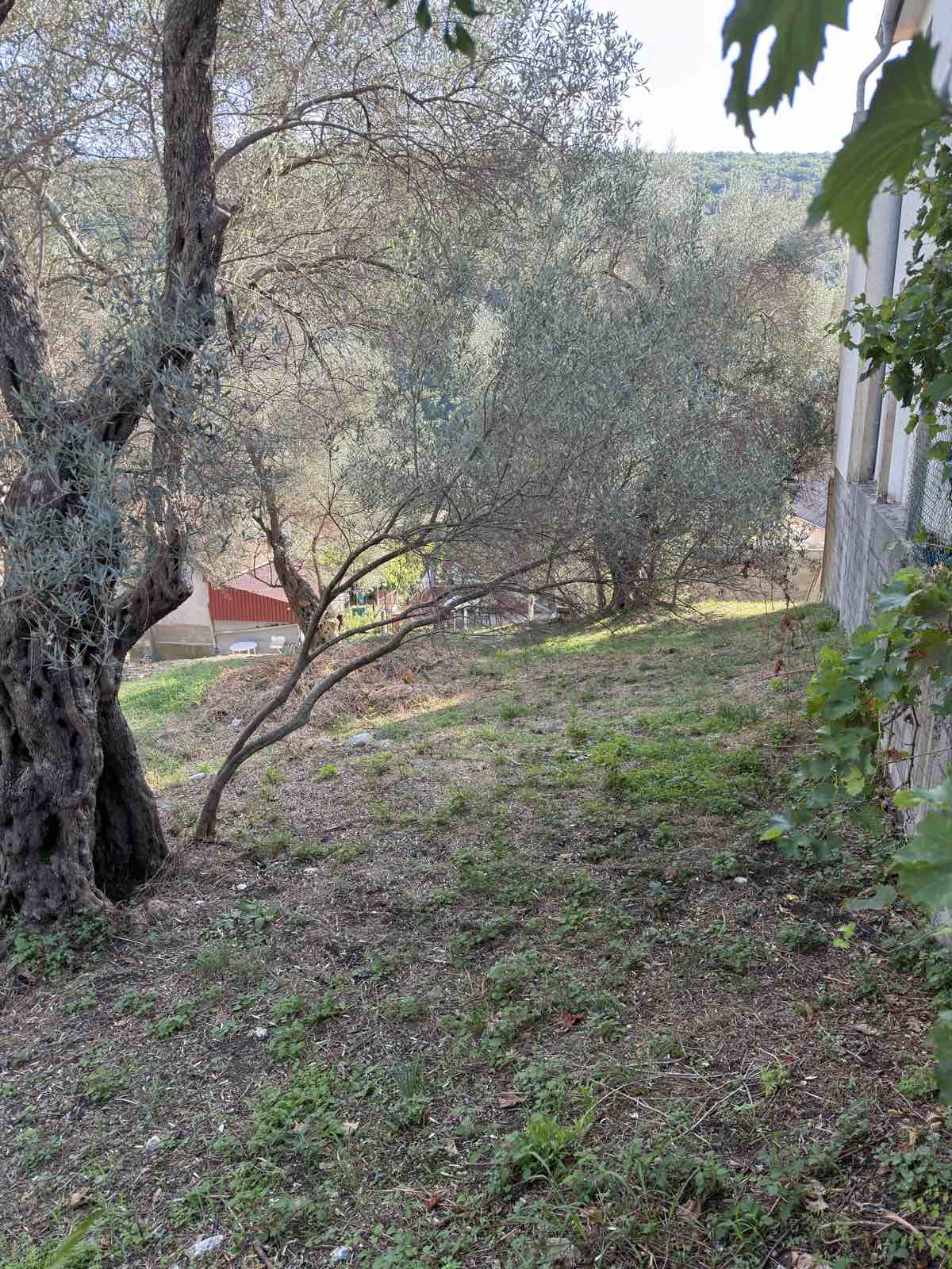 Land for sale Kruce 500m2 - 7