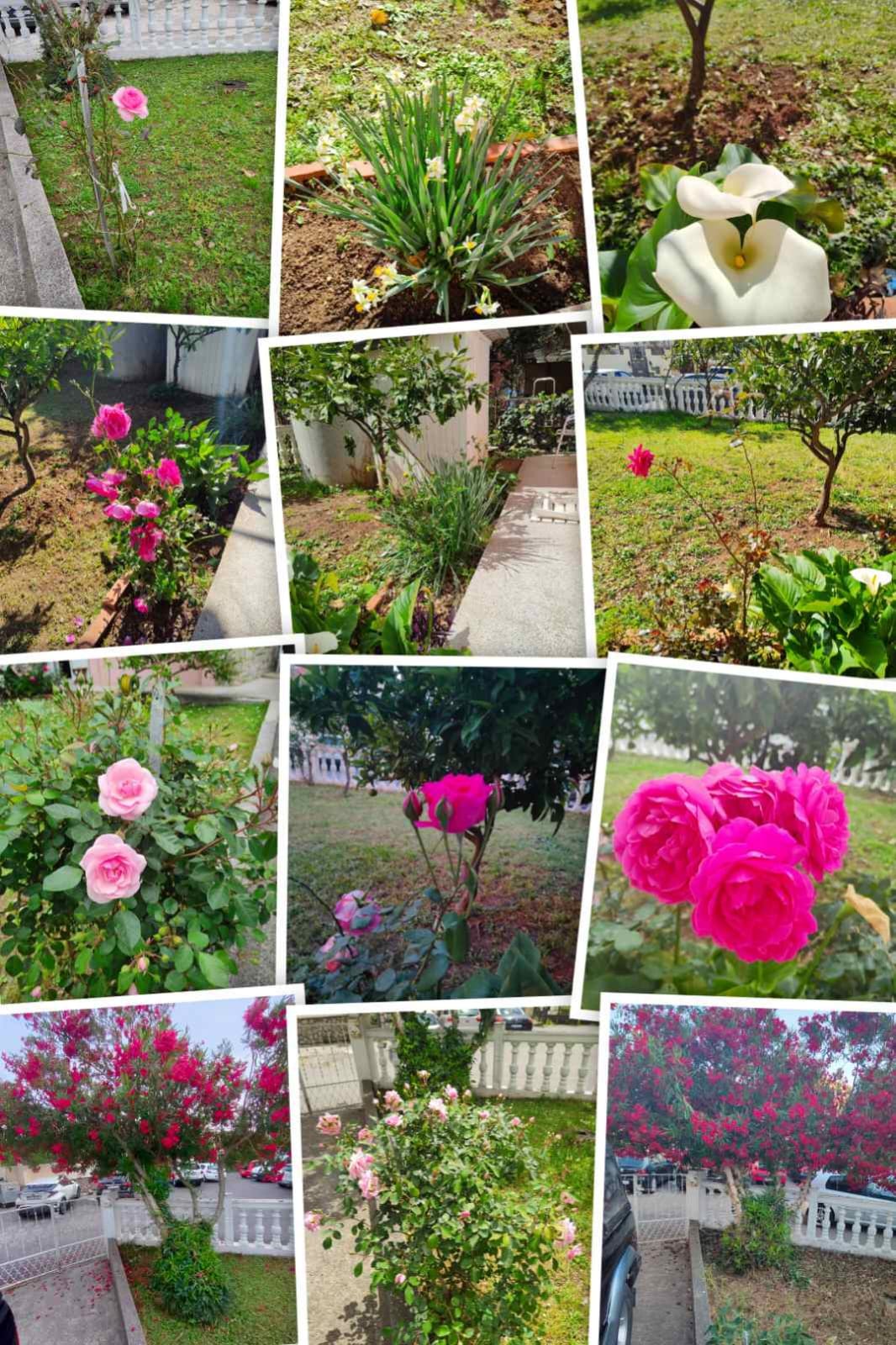 House for sale Podkosljun 250m2 - 16