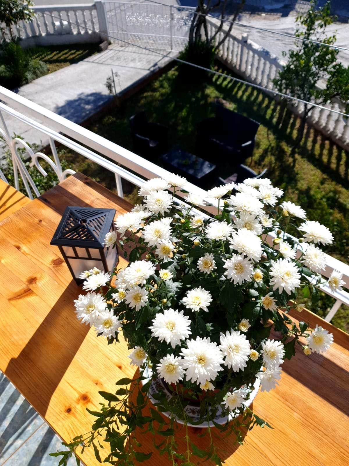 House for sale Podkosljun 250m2 - 12