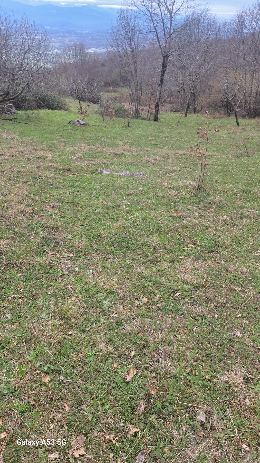 Grlić’te satılık imarlı arsa 9500m2 - 2