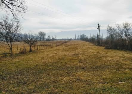 Land for sale Grbe 6400m2 - 3