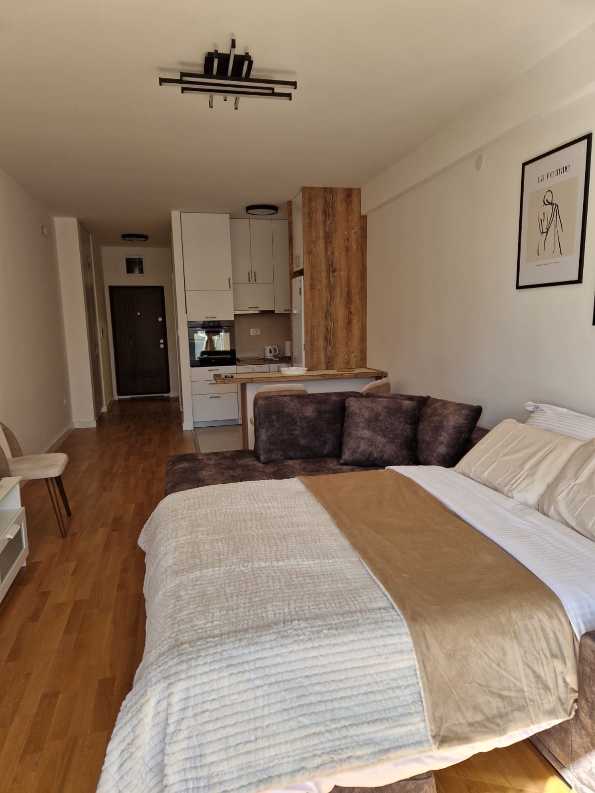 Studio Apartment for Rent Tolosi 41m2 - 4