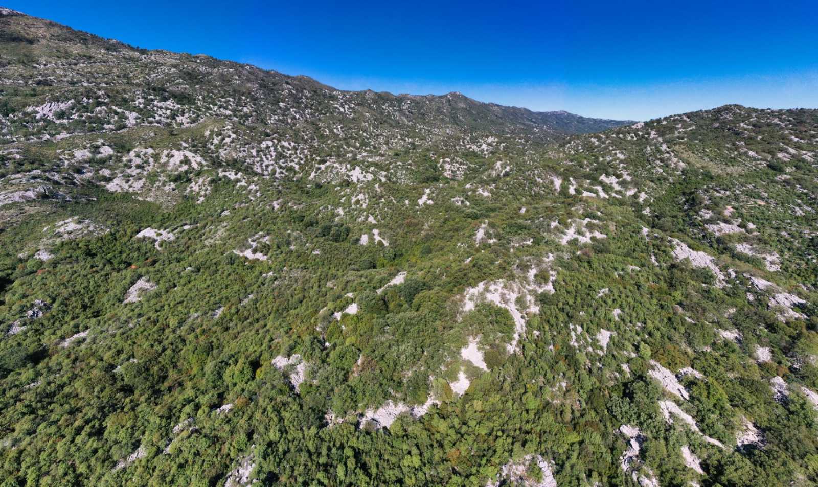 Урбанизированный земельный участок 500 000 м², Никшич - 3