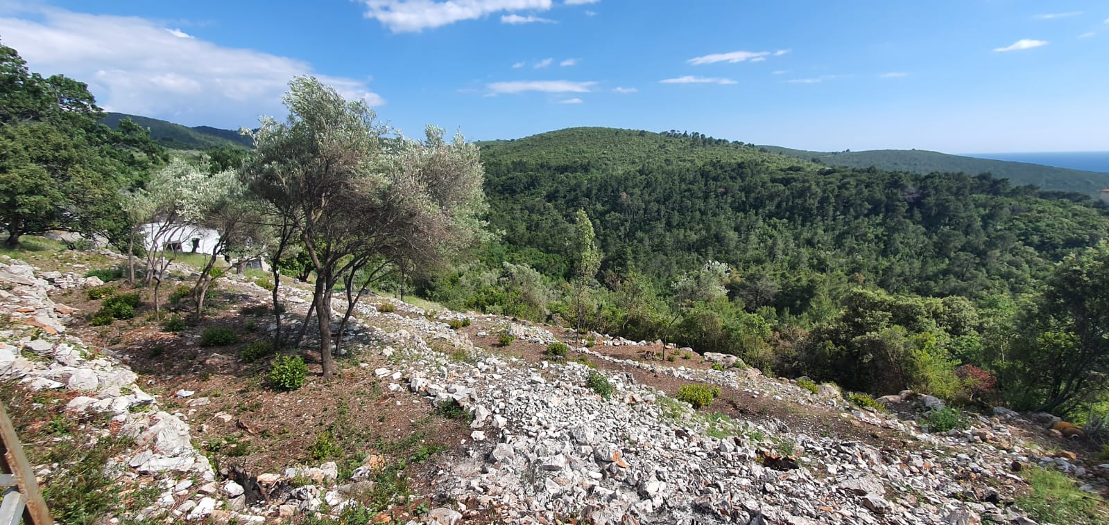 Urbanized plot 4550 m² Lustica - 3